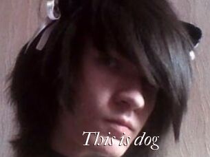 This_is_dog