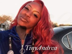 TinyAndrea