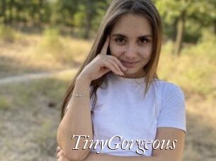 TinyGorgeous