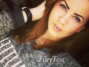 TinyTess