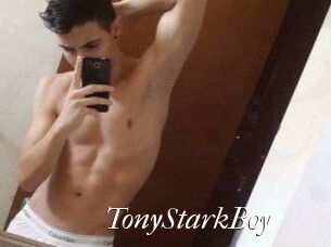 TonyStarkBoy