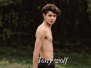 Tony_wolf
