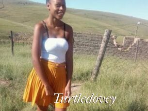 Turtledovey
