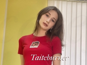 Taiteburner