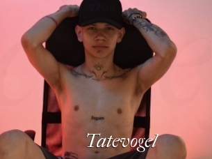 Tatevogel