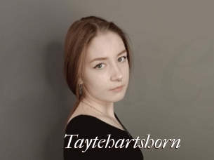 Taytehartshorn