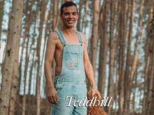 Teddhill