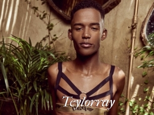 Teylorray