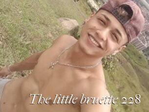 The_little_bruette_228