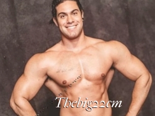 Thebig22cm