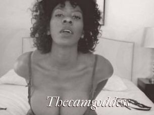 Thecamgoddess