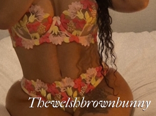 Thewelshbrownbunny