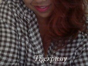 Tigerpussy