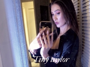 Tiny_taylor