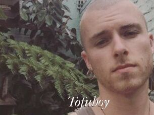 Tofu_boy