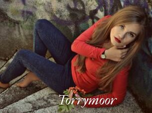 Torrymoor