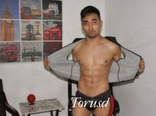 Torusd