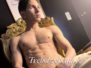 Trebolwebcam