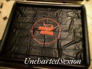 UnchartedSexion