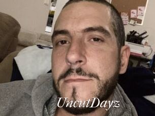 UncutDayz