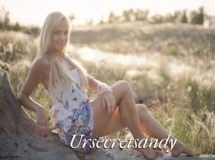Ursecretsandy