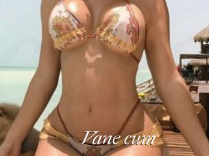 Vane_cum