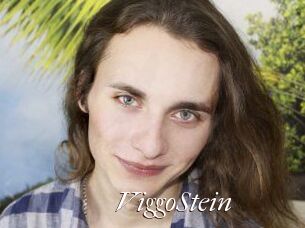 ViggoStein