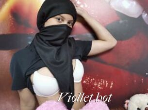 Viollet_hot