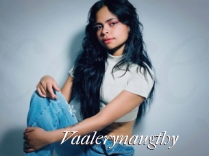 Vaalerynaugthy