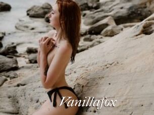 Vanillafox