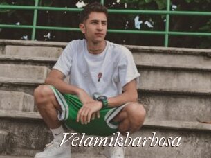Velamikbarbosa