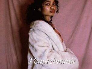 Venus2bunnie