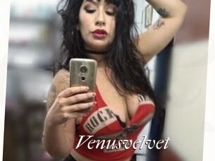 Venusvelvet