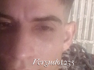 Vergudo1235