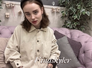 Vinaskyler