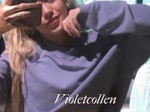 Violetcollen