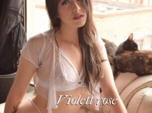 Violett_rose