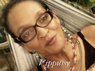 Vippussy