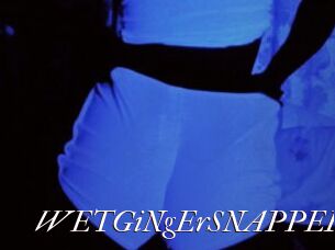 WETGiNgErSNAPPER