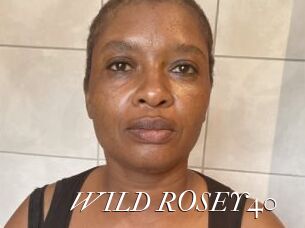 WILD_ROSEY40