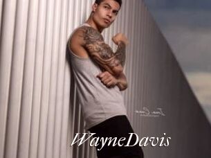 WayneDavis