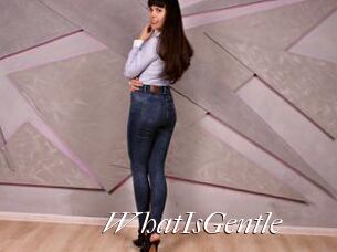 WhatIsGentle