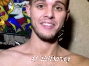 WildDavey