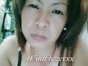 WildFlowerxx