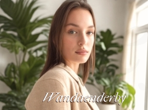 Wandaenderby