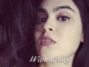 Wandafudge