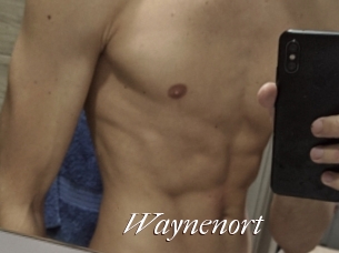 Waynenort