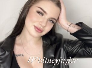 Whitneyfugler