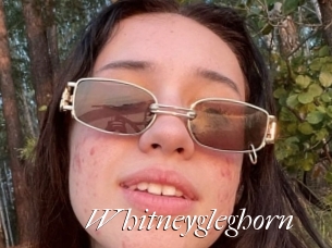 Whitneygleghorn