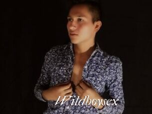 Wildboysex